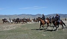 Тувинские лошади заступают на службу в горнострелковые подразделения ЦВО
